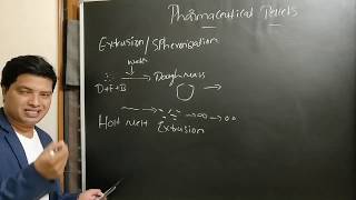 Pharmaceutical pelletization technique [upl. by Yedrahs]