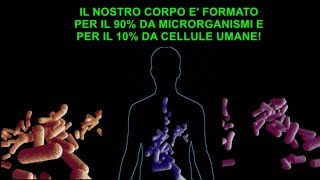 INTRODUZIONE AL CORSO DI MICROBIOLOGIA ALIMENTARE [upl. by Arehc461]