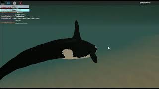 roblox cenozoic survival orca [upl. by Parnell]