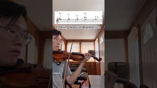 E String Natural Harmonics violinst violin violinmusic music violinist harmonics violincover [upl. by Akinom]