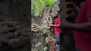 A SugarCane amp Cocoa Plantation During Slavery Era In Tobago sugarcane slavery plantation cocoa [upl. by Edgerton]