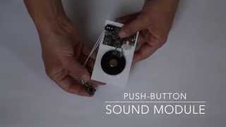 How to Program the Push Button Sound Module from Invite by Voice [upl. by Nennarb]