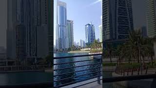 Jumeirah Lakes towers Dubaiforyou youtubeshorts dubai [upl. by Mosby]