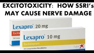 Excitotoxicity How Antidepressants may cause nerve damage [upl. by Derian]