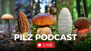 Pilz Podcast Live 68 mit derpilzfluesterer [upl. by Lorollas]