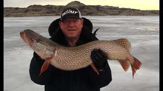 Fort Pek 2019 Jigging JawJacker Video [upl. by Ailsun898]