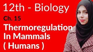 2nd Year Biology Ch 15  Thermoregulation In Mammals Humen  FSc Biology Book 2 [upl. by Eintrok]