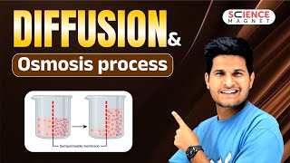 Diffusion and Osmosis process explained neerajsir sciencemagnet [upl. by Llebyram]