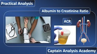 E16Albumin to Creatinine RatioMicroalbuminuriaكل ما يخص تحليل الميكروالبيومين فى البول نظرى عملى [upl. by Clyve]