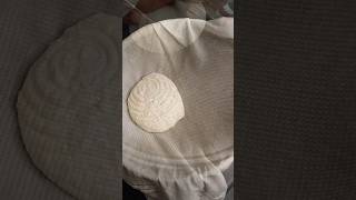 Homemade Mozzarella Cheese 🧀 cooking trending viralvideo [upl. by Heim]