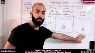 هستولوجي Epithelial cell polarity قطبية الخلايا الغطائية  عبد الله رضا MD  Rocademia روكاديميا [upl. by Loesceke]