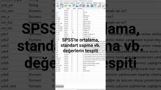 SPSSte ortalama standart sapma vb değerlerin tespiti [upl. by Garneau479]