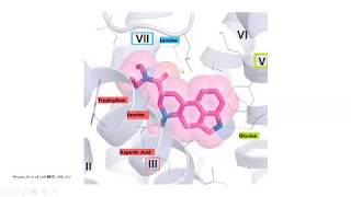 Molecular Neuropharmacology of LSD [upl. by Bitthia]