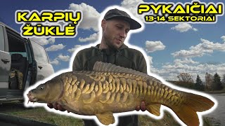 Karpių žvejyba Pykaičiai  1314 sektorius Carp Fishing  Pykaiciai [upl. by Huberman]