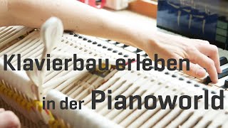 Pianoworld  Offene Klavierwerkstatt [upl. by Mahla573]