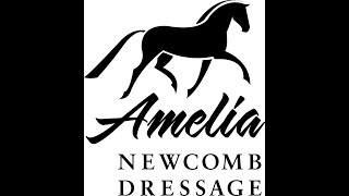 Amelia Newcomb Dressage [upl. by Bordie]