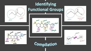 Identifying Functional Groups in Organic Structures Compilation  Chemistry Practice Problems [upl. by Orpah]