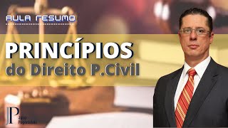 Princípios do Direito Processual Civil [upl. by Seamus252]