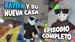 🐠 RAYITA y su NUEVA PECERA Episodio COMPLETO 😎 funny rayita viral animales beta humor [upl. by Popele555]