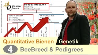 Pedigree und BeeBreed der Stammbaum von Bienenköniginnen in der Bienenzucht [upl. by Nnylhtak965]