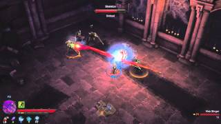 Diablo III  The Coop Mode [upl. by Goldwin]