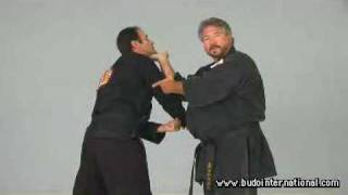 Kosho Ryu Kempo Bruce Juchnik [upl. by Dayiz]