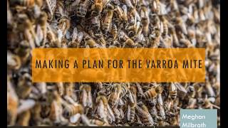 Making A Plan for the Varroa Mite [upl. by Juley836]