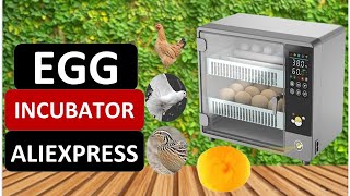 Top 5 Best Egg Incubator in 2024 on Aliexpress [upl. by Nagrom412]