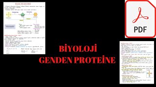 AYT Biyoloji  Genden Proteine  PDF Notları👇 [upl. by Ennaeus865]