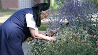 Nuns help researchers discover more about Alzhimers [upl. by Enetsirk]