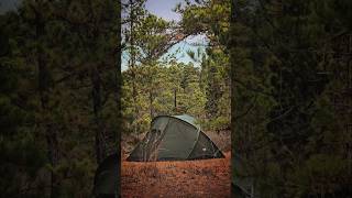 Abisko View 2 Tent  Forest Bathing  Skogsbad [upl. by Sybley]