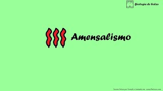 Amensalismo [upl. by Teilo]