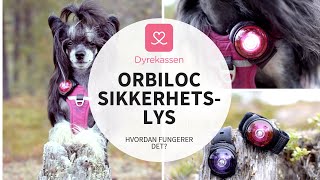 Hvordan fungerer Orbiloc sikkerhetslys  Dyrekassenno [upl. by Naj]