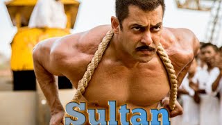 Sultan Entry Title song [upl. by Niveek]