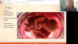 6 Etapa Fetal Anexos Embrionarios Parto [upl. by Zelle]