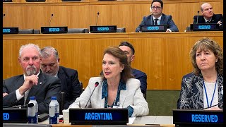 Malvinas Intervención de la canciller Mondino en el Comité de Descolonización de Naciones Unidas [upl. by Emery]