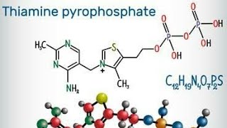 Thiamine Pyrophosphate amp Lipoic Acid  Very Easy WayImportant Of MSc [upl. by Musihc683]