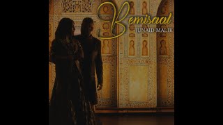 Bemisaal  Junaid Malik  Official Music Video  2022 [upl. by Nnayhs]