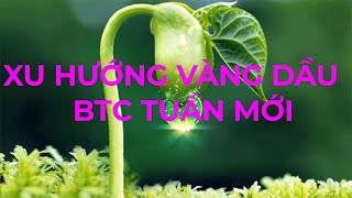 NHẬN ĐỊNH XU HƯỚNG VÀNG DẦU BTC TUẦN NGÀY 2272024  TRADING GOLD [upl. by Snider114]