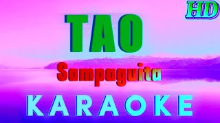 TAO  Sampaguita  Karaoke 🎤 HD Version [upl. by Hy509]