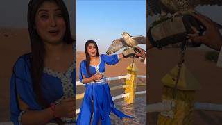 Dubai famous falcon আরেকটু হলে আমার চোখে ঠুকরে দিচ্ছিল 😱😭 minivlog vlog dubai [upl. by Eikcaj59]