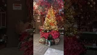 Christmas wonderland winter at woodborough garden centre [upl. by Dav]