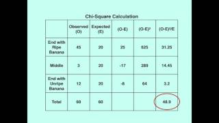 One Minute Biology ChiSquare [upl. by Yttam648]