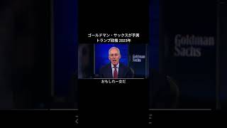 2025年SampP500こうなる トランプ経済をゴールドマン・サックスが予測 2025年 sp500 意訳 アフレコ 米国経済 米国株 投資 トランプ [upl. by Curcio]