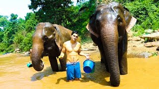 SPENDING A DAY WITH ELEPHANTS Incredible Experience [upl. by Yelyak]