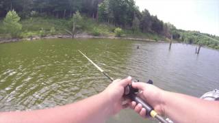 Bass Fishing Taylorsville Lake [upl. by Emyaj]