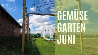 Gemüsegartenrundgang Juni [upl. by Stulin]