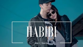 AMC amp SIENTE  HABIBI Official MV [upl. by Assilanna]