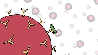 Benefits of Invitrogen ProcartaPlex multiplex immunoassays for the Luminex platform [upl. by Nicram]