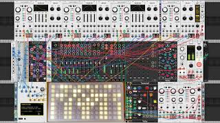 Summergrass Flutes  VCV Rack Generative Melodic Ambient wMonome Teletype  Grid [upl. by Acinat]